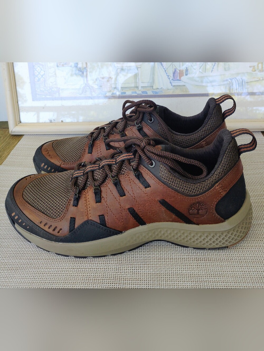 Timberland "FlyRoam Trail Low" Dark Brown Leather Hiking/Casual Shoes. Size 9.